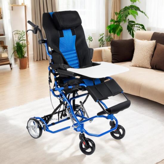 Comfort plus DY01959LB Yemek Masalı Puset 